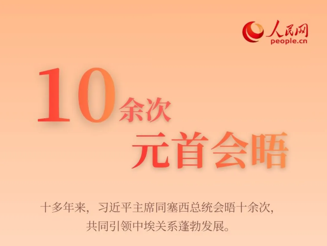 海报：数读中埃合作成果